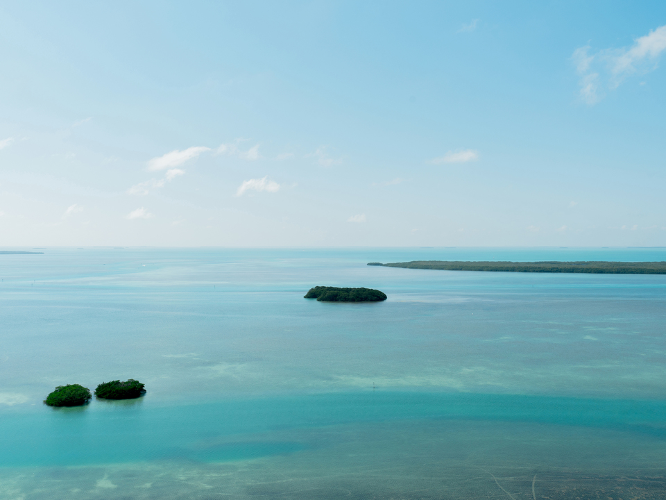 12. Do Not Kill The Eagle