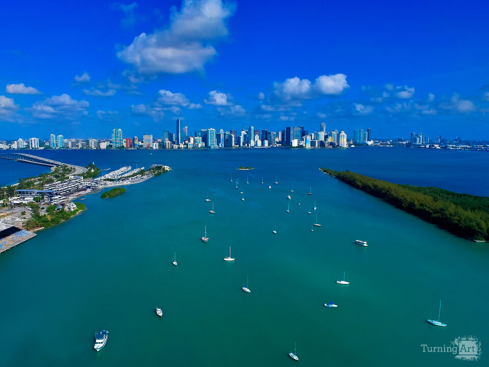 Series 4: That Drone Life