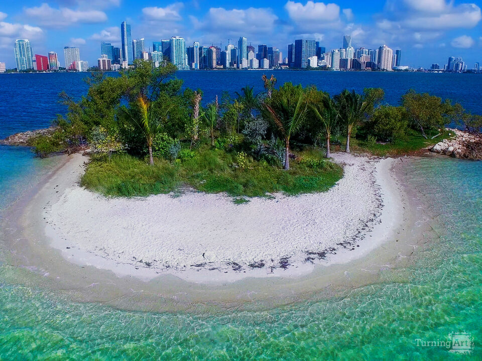 Series 4: That Drone Life