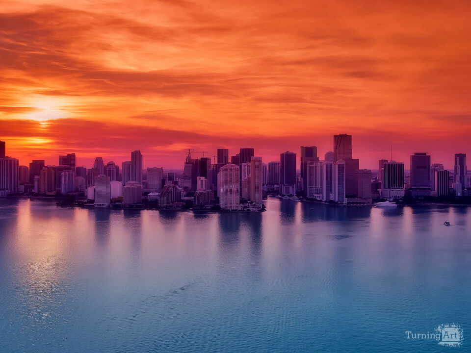 Series 2: Colorful Fruitful Miami