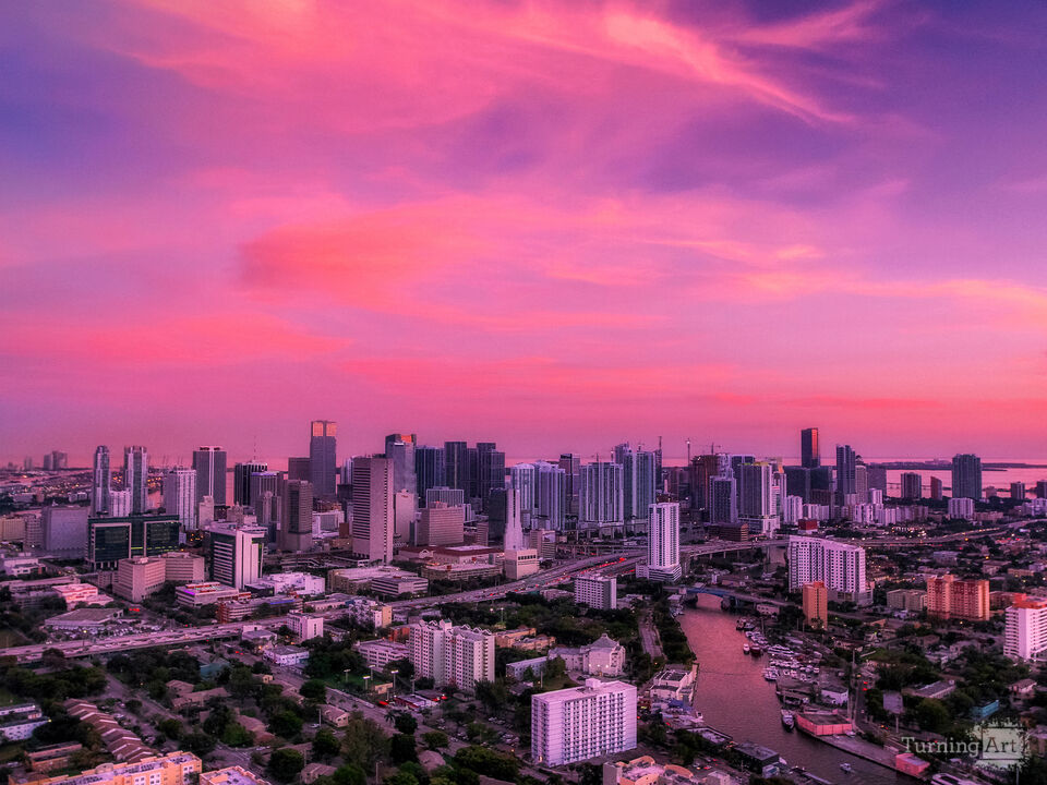Series 2: Colorful Fruitful Miami