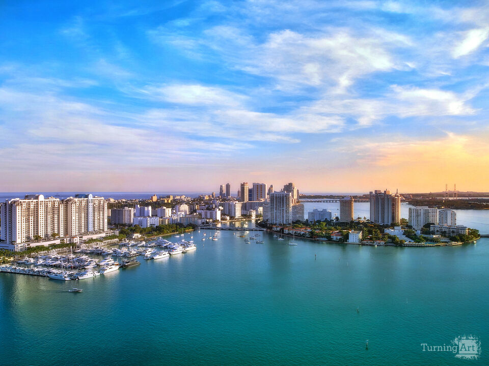 Series 2: Colorful Fruitful Miami