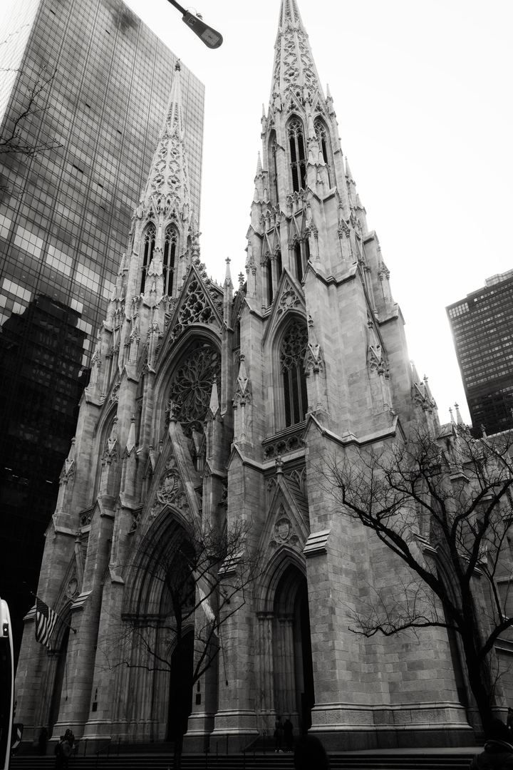 Saint Patrick’s Cathedral 
