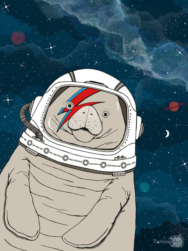 Space Manatee