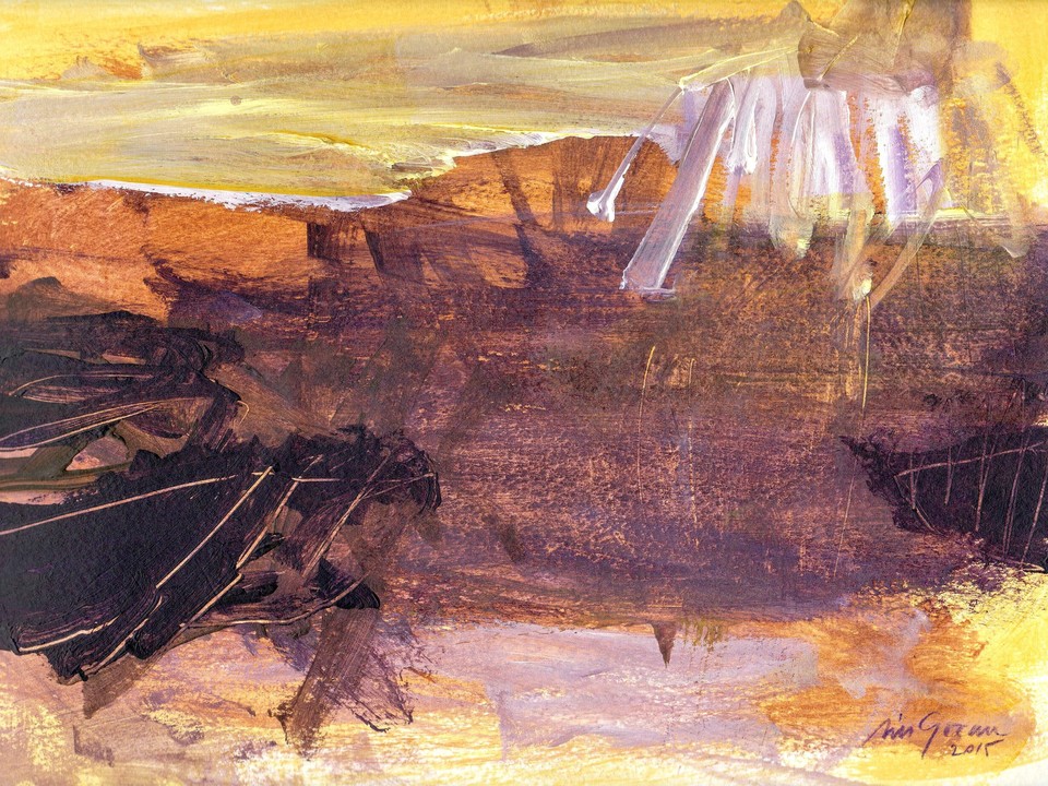 Arizona #14