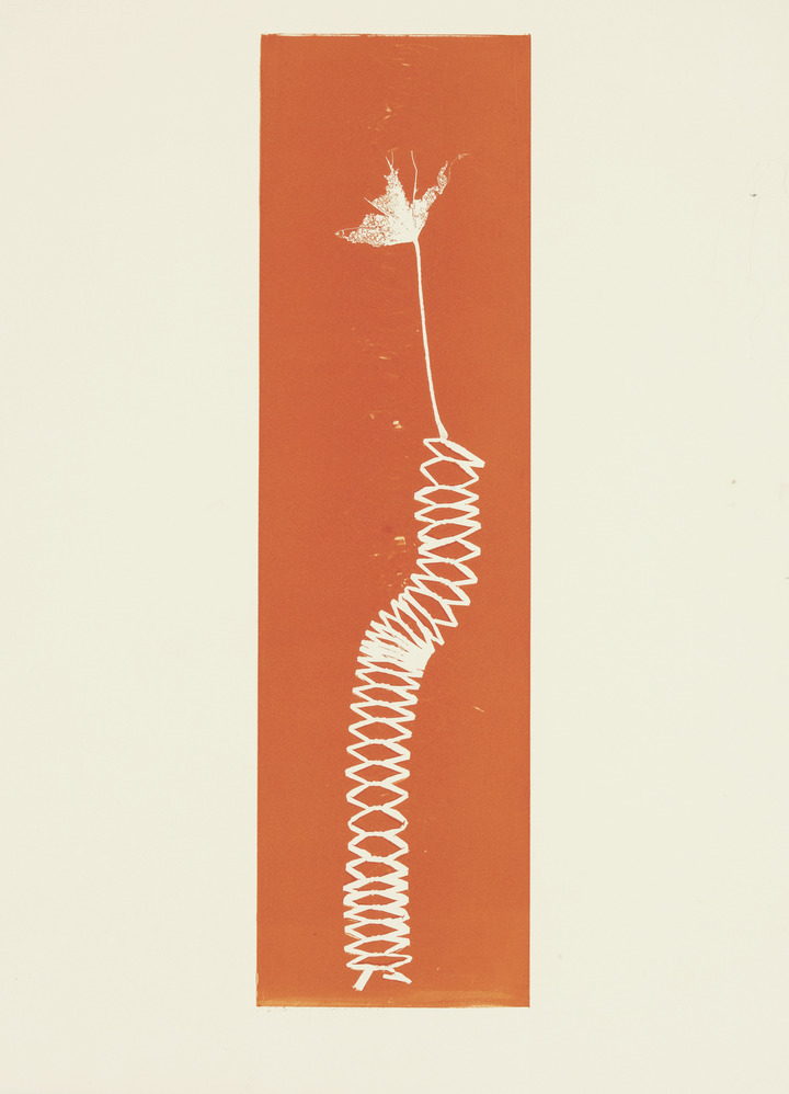 Audubon