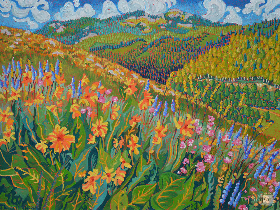 Wildflowers - Elk Mountain