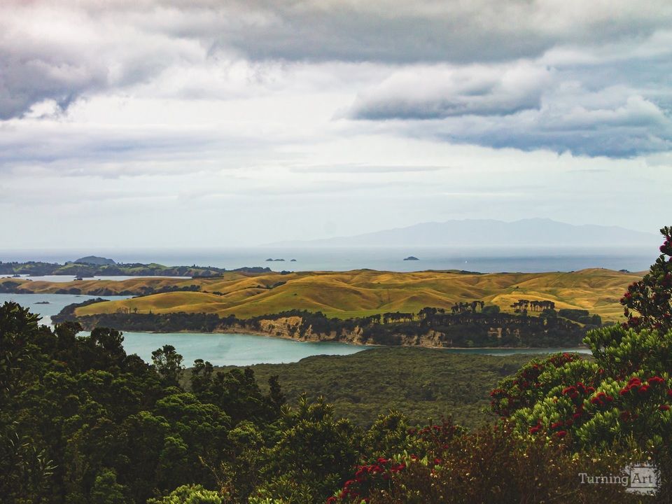 Rangitoto Summit
