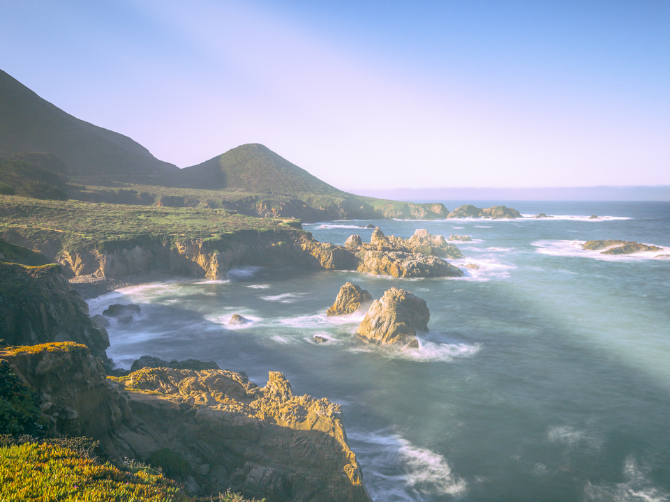 The Best Coast