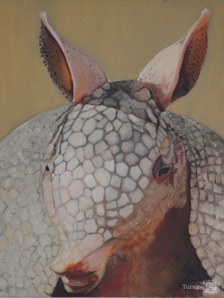 armadillo