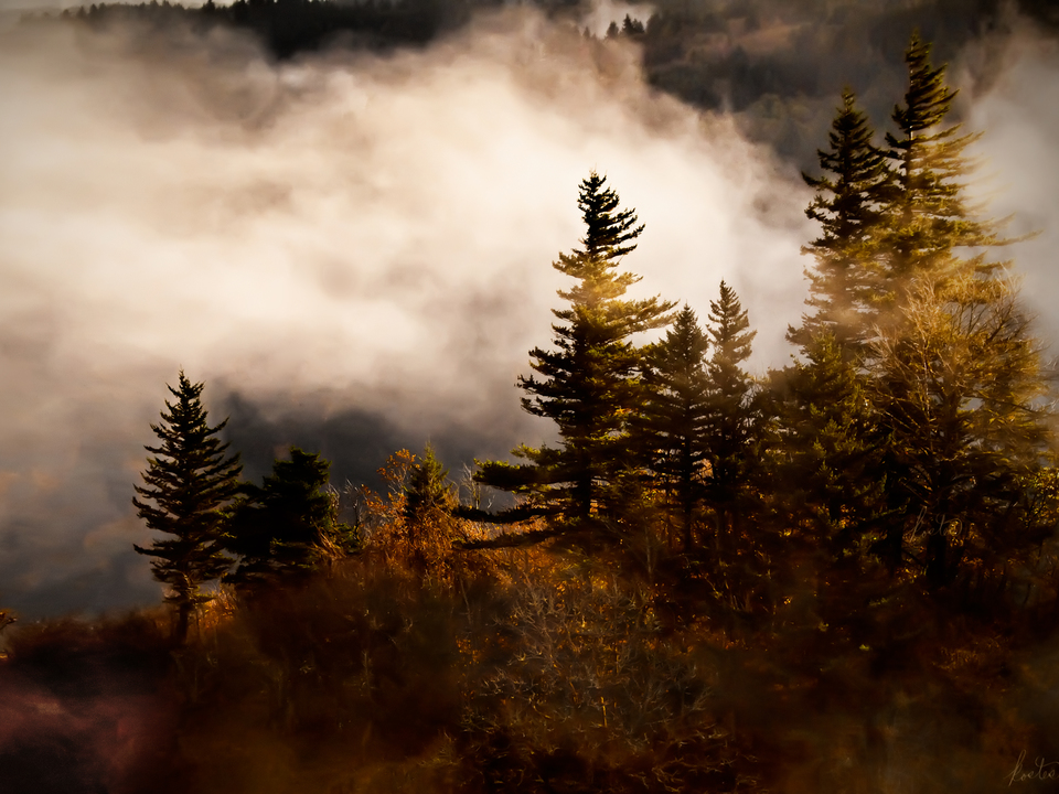 Sun Breaking Through