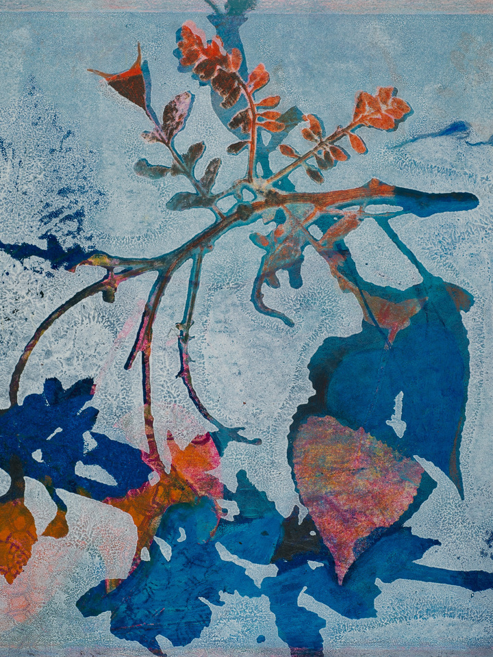 The Promise of Summer 26