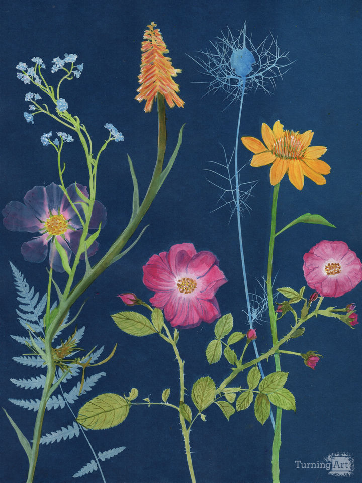 Cyanotype Painting (Roses 2020, 1)