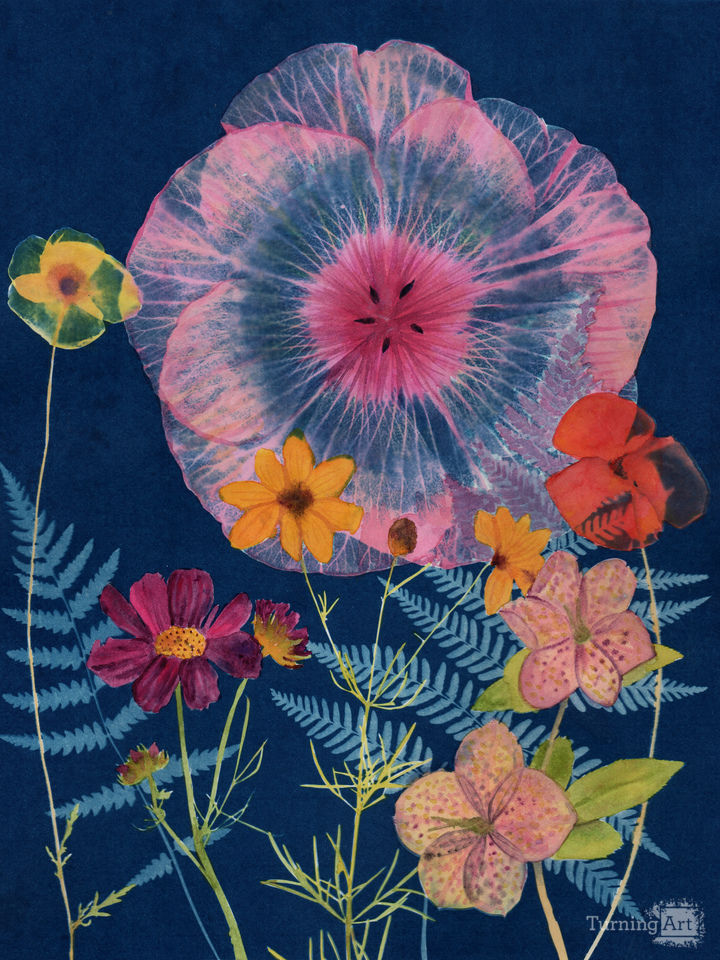Cyanotype Painting (Hibiscus/Poppies 2020, 1)