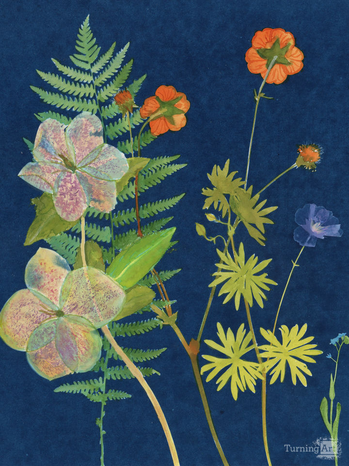 Cyanotype Painting (Hellebore/Fern 2020, 1)