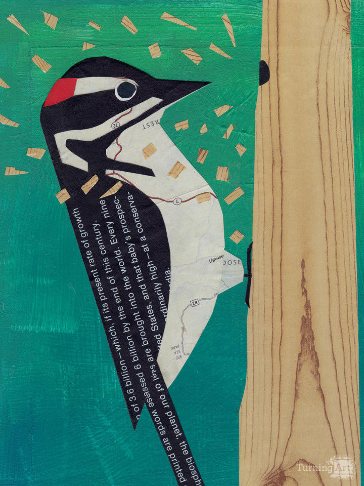 Harry the Woodpecker