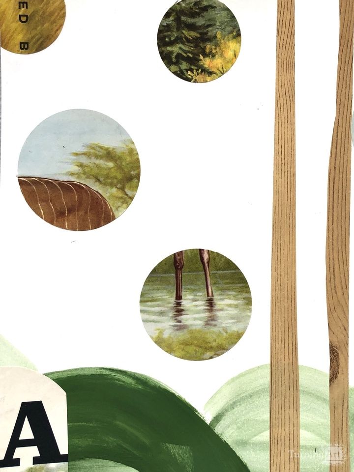 Covid Cut No. 35 Walk in the Woods