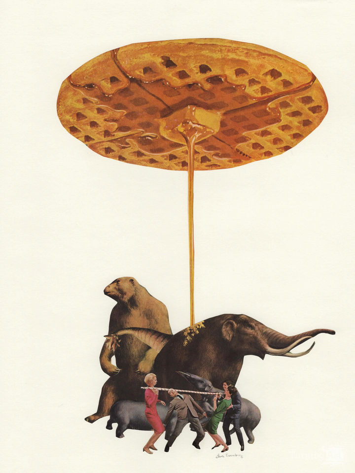 Project Blue Book, Case File 542