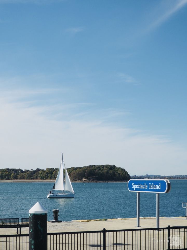 Spectacle Island Arrival