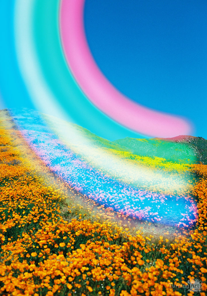 Rainbows and Poppies