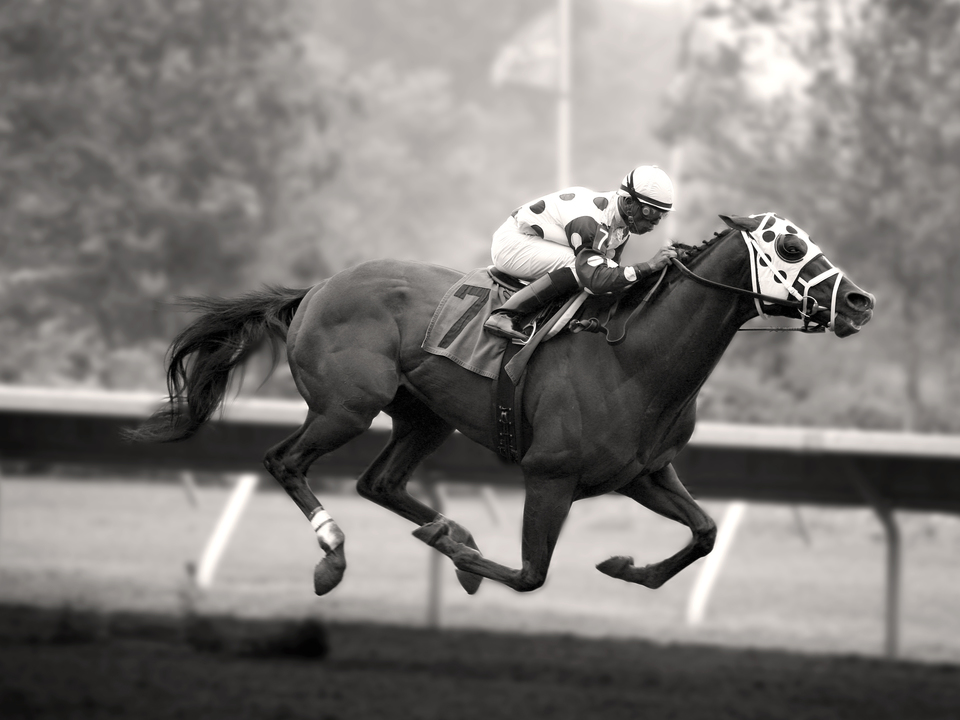 Number 7 Flying
