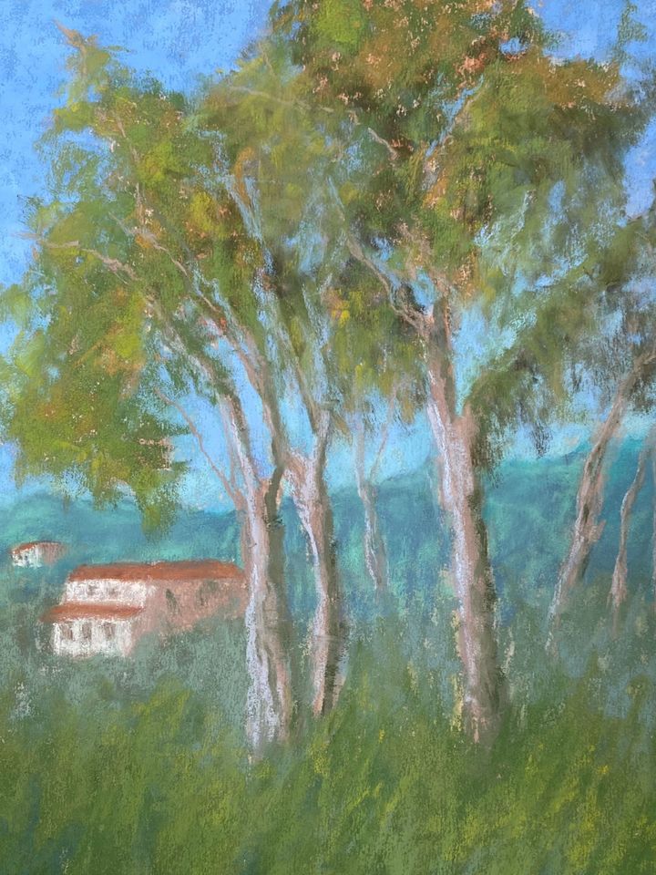 Ode to the Eucalyptus