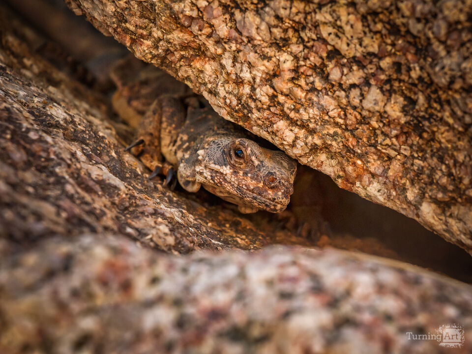 Between a rock and a hard place