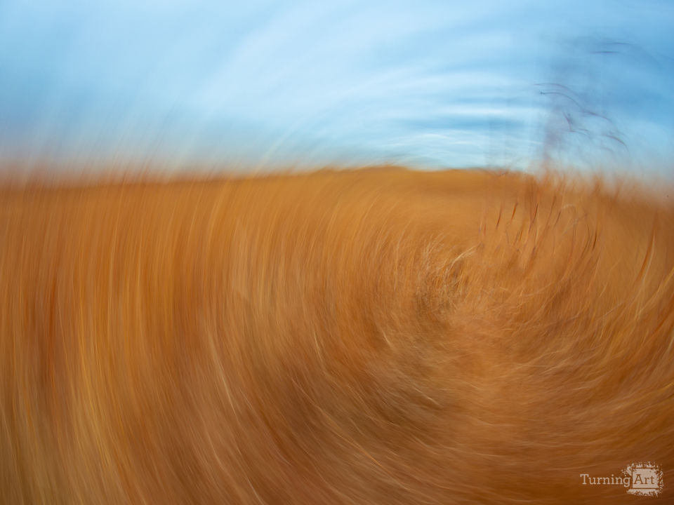 Colors of a fresh fall day