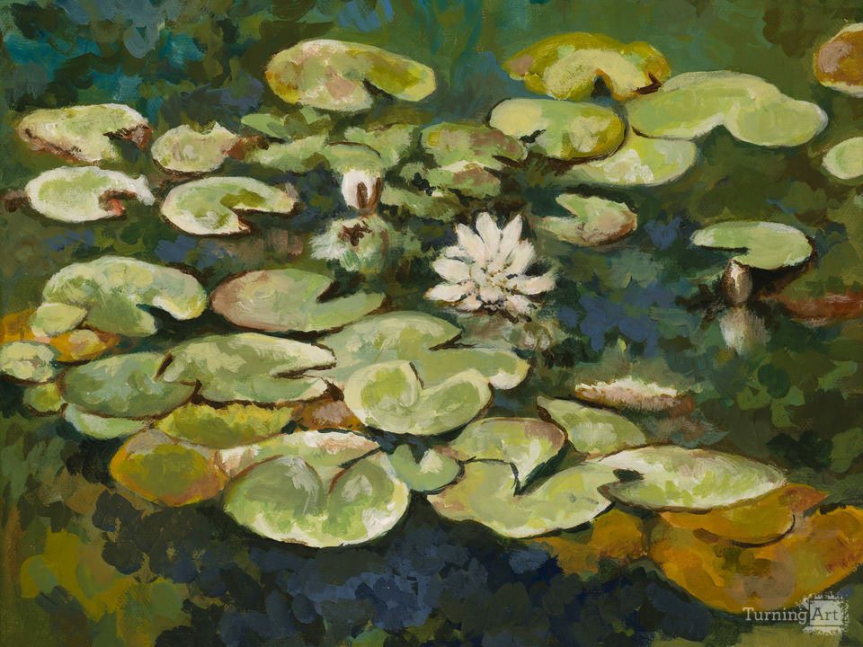 Serenity Lotus Pond I