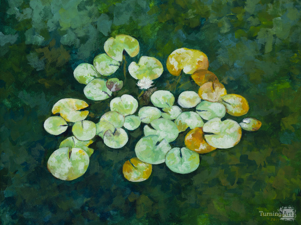 Serenity Lotus Pond IV