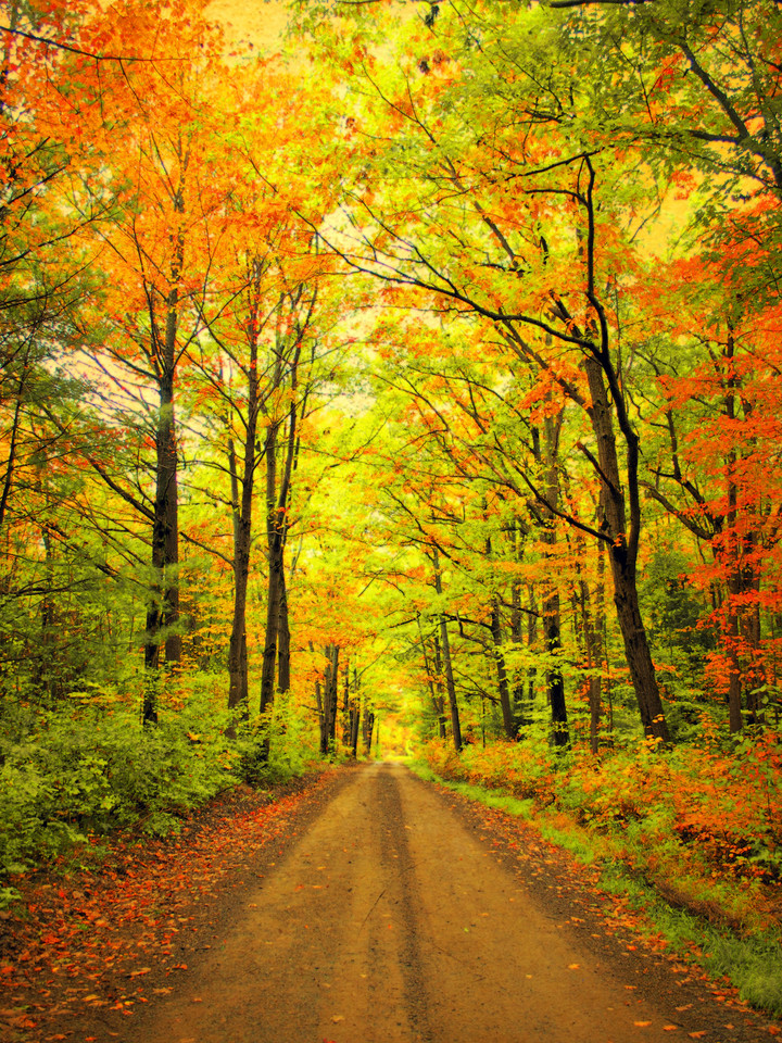 Take A Walk 