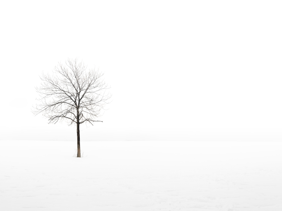 Silence