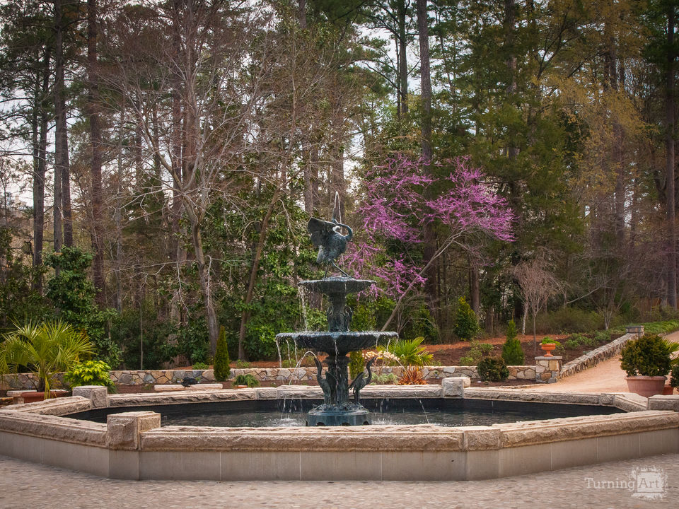 The roney fountain