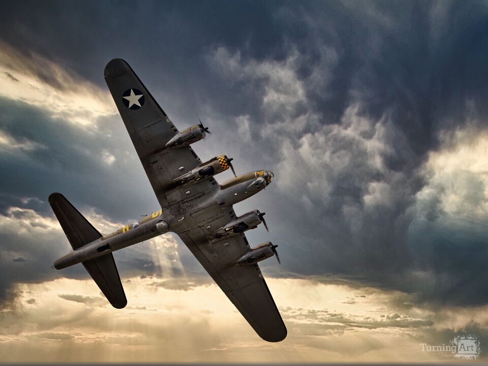Wings Against the Tempest