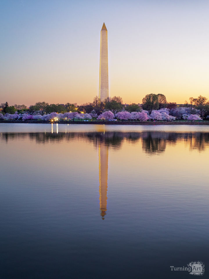 Spring Morning in Washington, DC 
