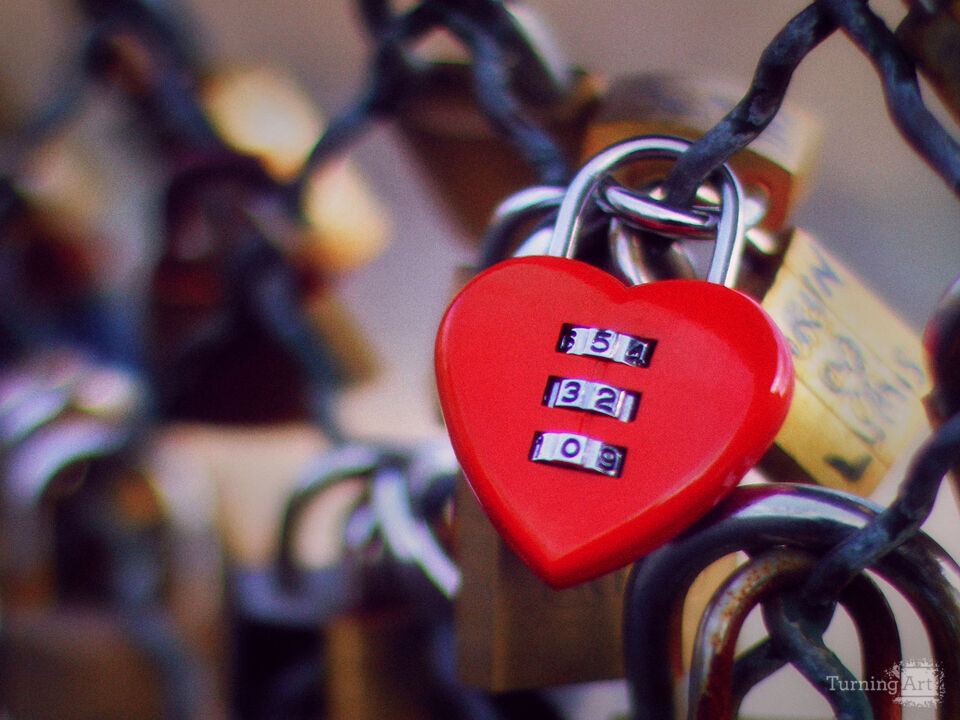Series 34: Love Locks in Paris
