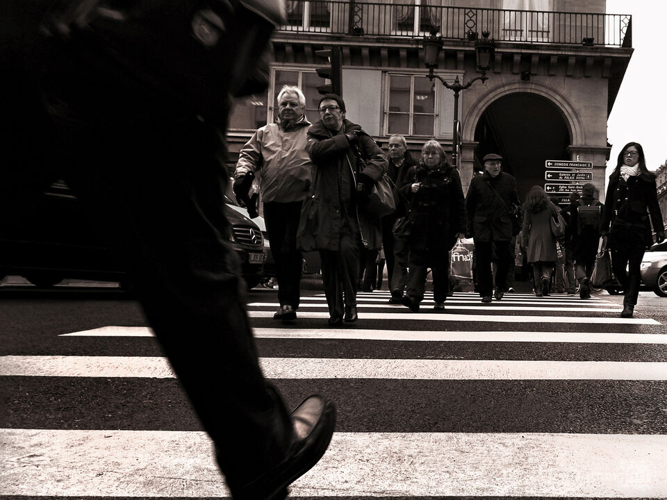Series 34: Love Locks in Paris
