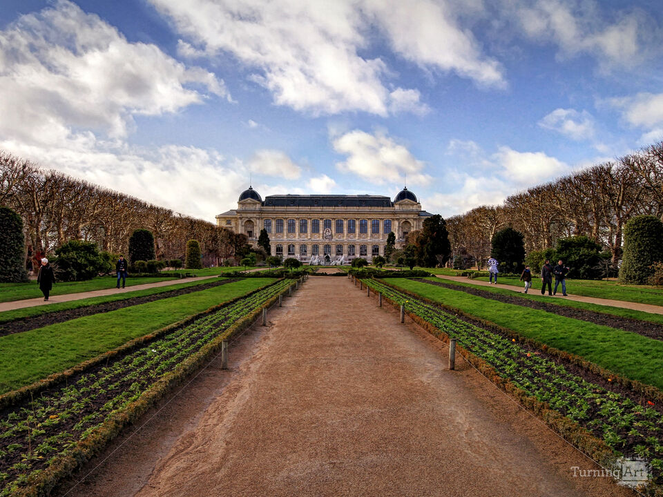 Series 34: Love Locks in Paris