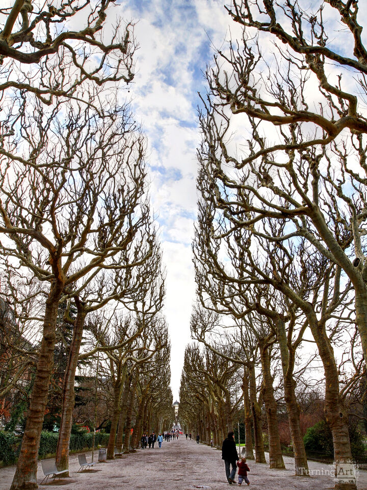 Series 34: Love Locks in Paris