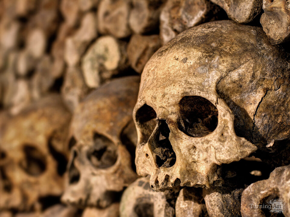 Series 34: Love Locks in Paris