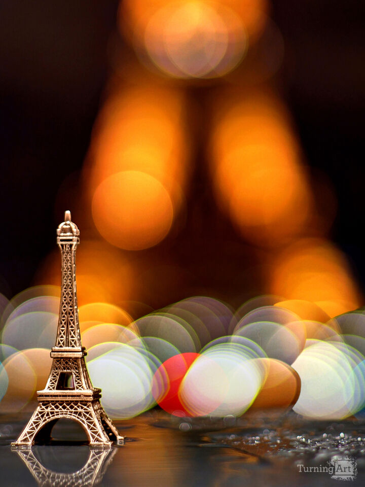 Series 34: Love Locks in Paris