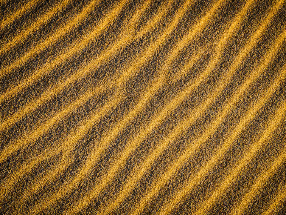 Golden Sand Ripples