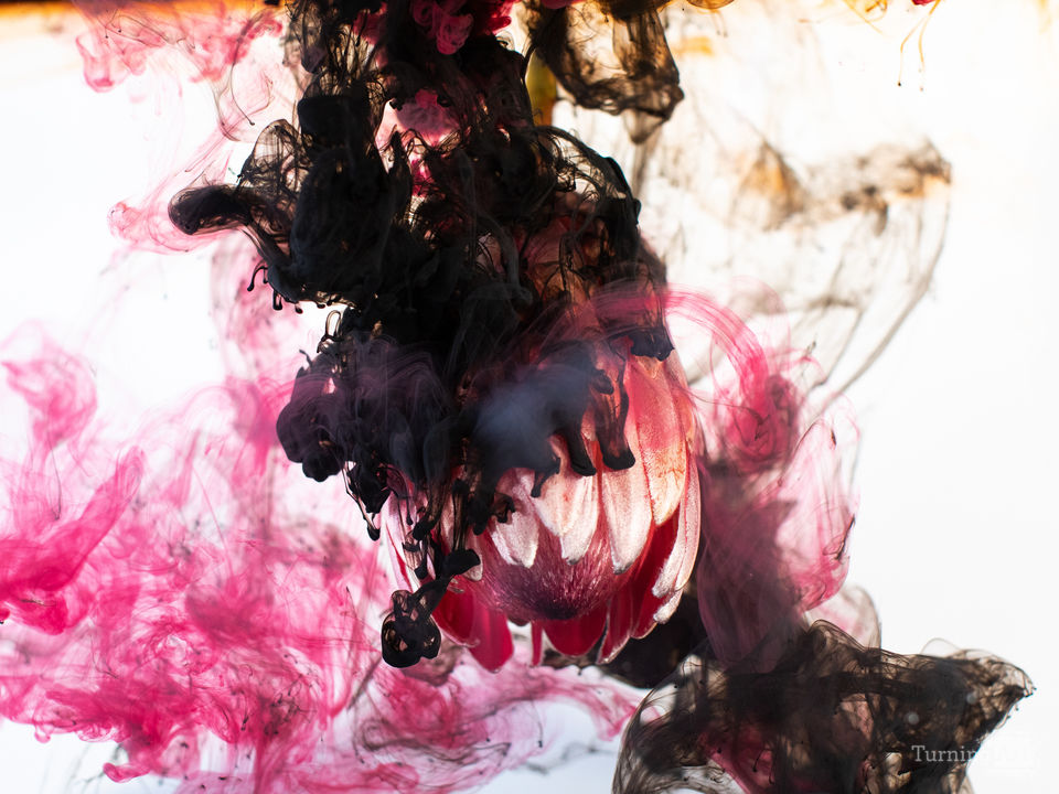 Wanderlust contained  