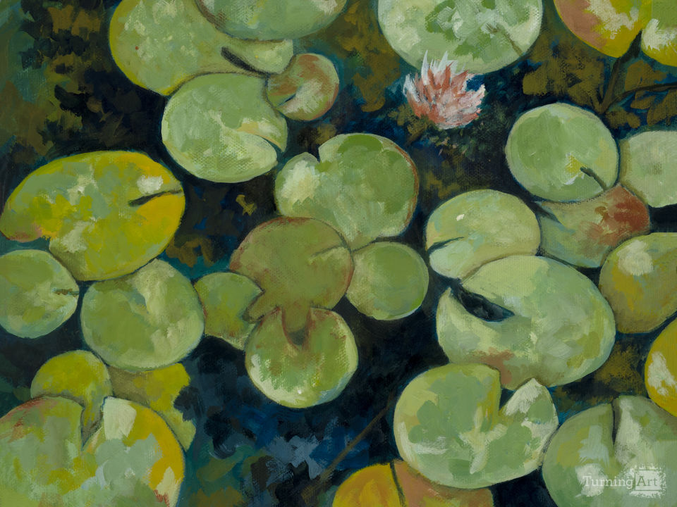 Lotus Pond Serenity Series II