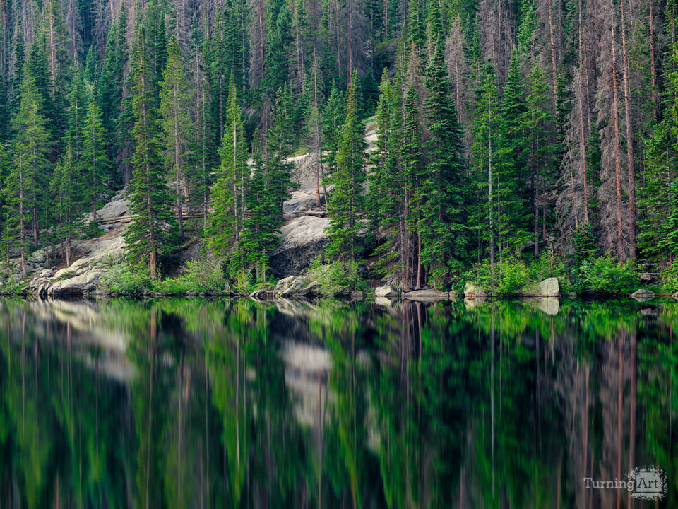 Pines reflections in Bear Lake Colorado