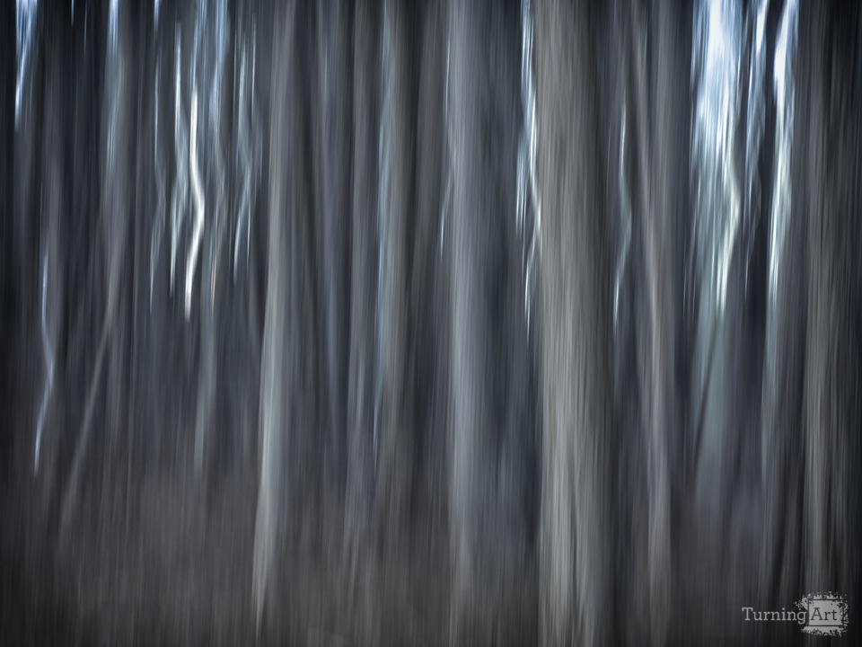 Happiness is a mysterious thing, to be found somewhere between too little and too much