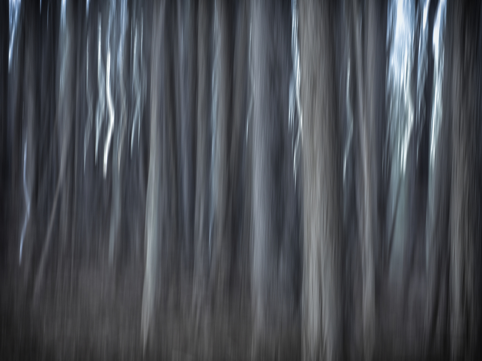 Happiness is a mysterious thing, to be found somewhere between too little and too much