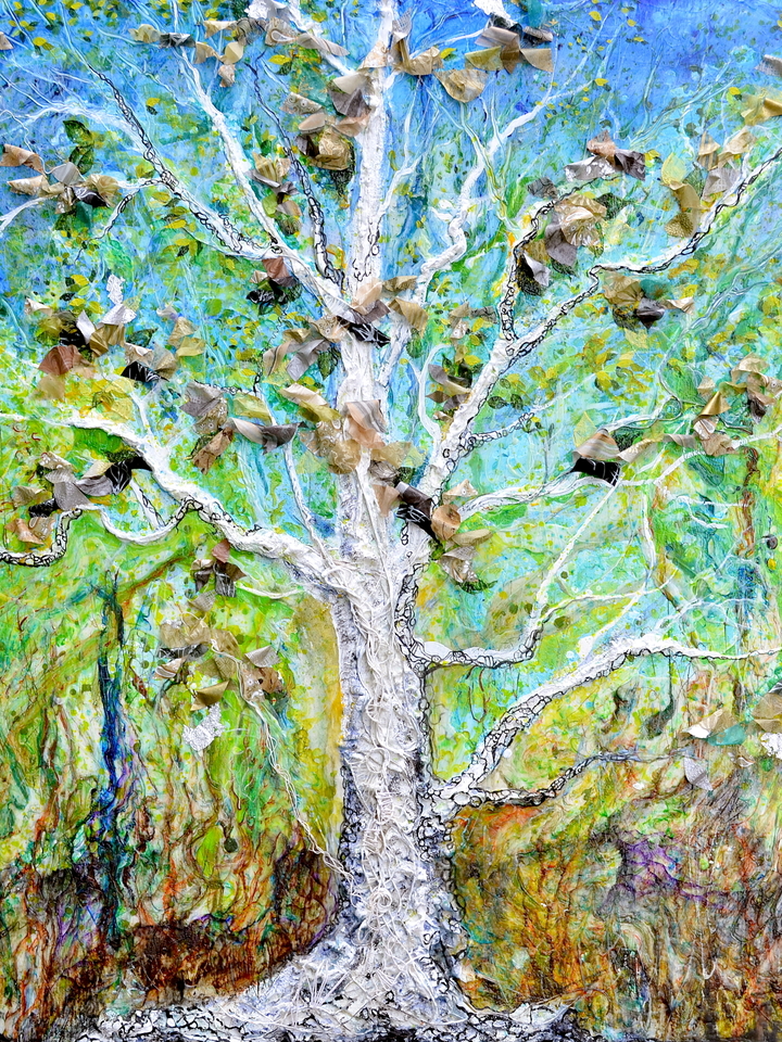 Old Growth - Tree of Life 2