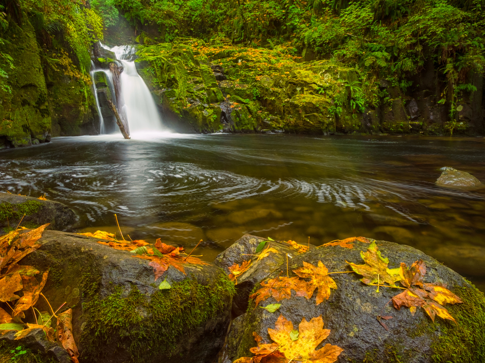 Sweet Creek Falls in Autumn