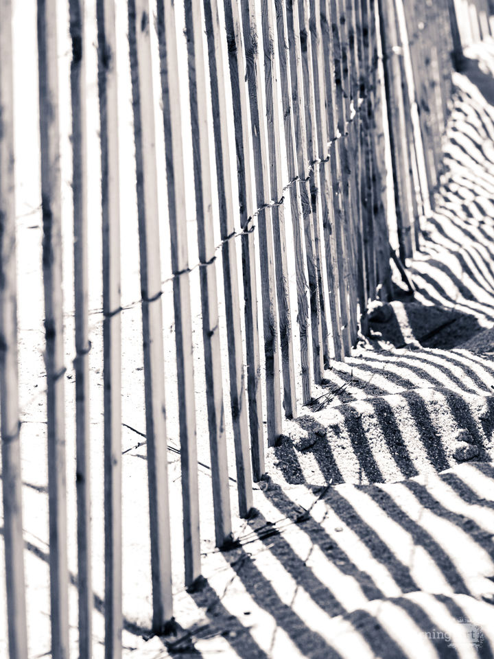Beach Fence